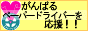 がんばるぺーぱードライバーを応援